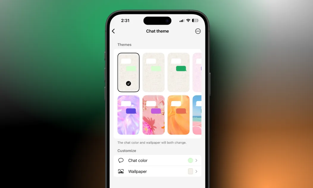 WhatsApp Chat Theme Page Preview on an iPhone 16